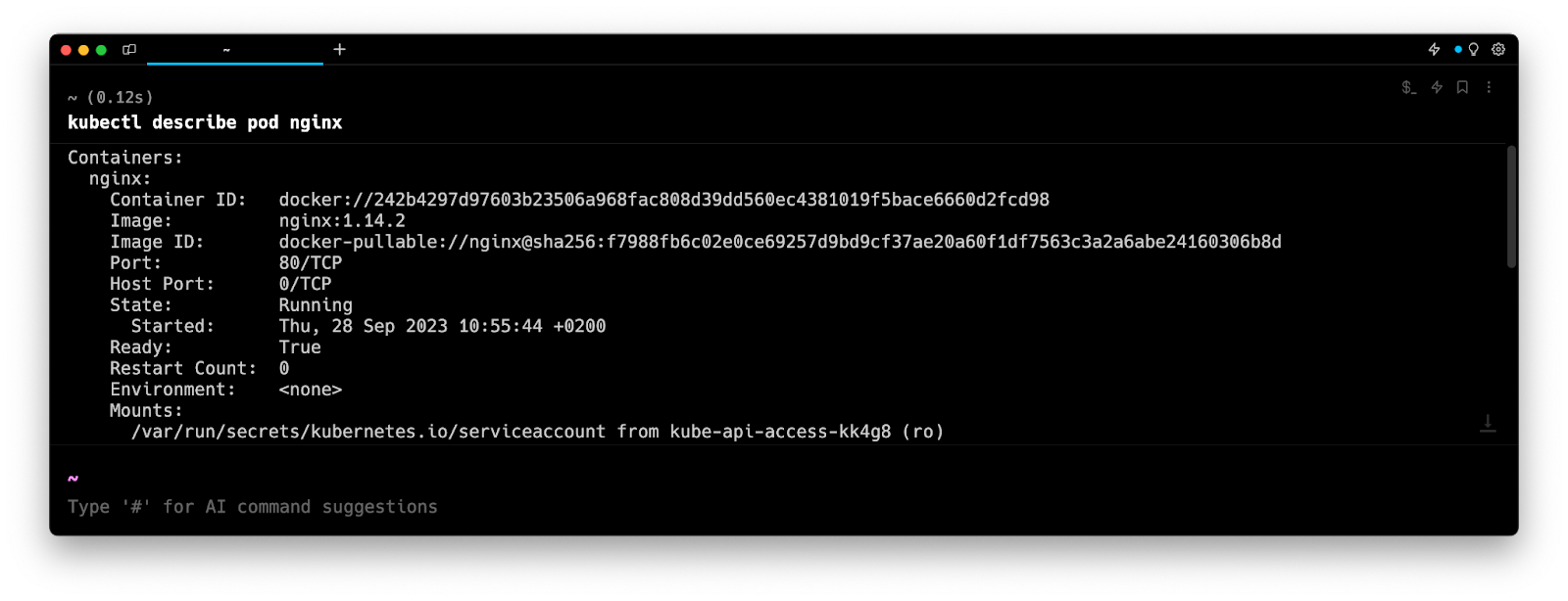 Warp: How to Describe a Kubernetes Pod With kubectl